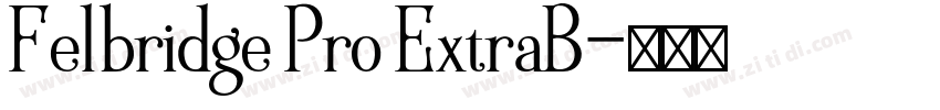 Felbridge Pro ExtraB字体转换